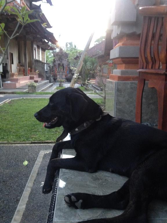 Privatunterkunft D'jero Ubud